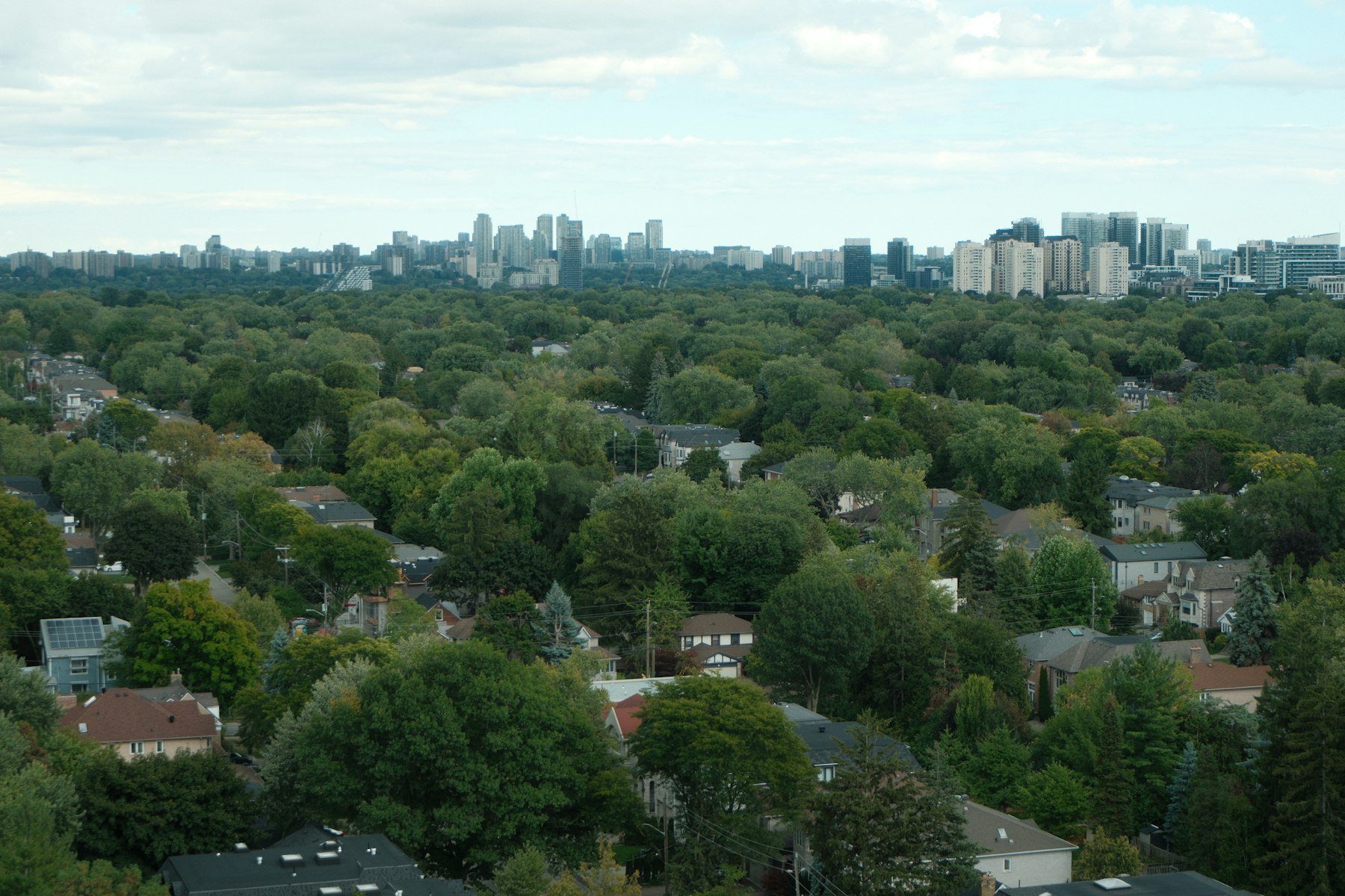 Tree-lined Toronto neighbourhood of low-rise houses in late-afternoon light, with the downtown skyline on the horizon.